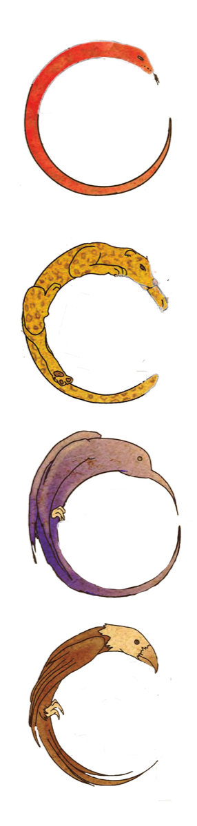 Shamanic Practitioner Training with Joe Molloy