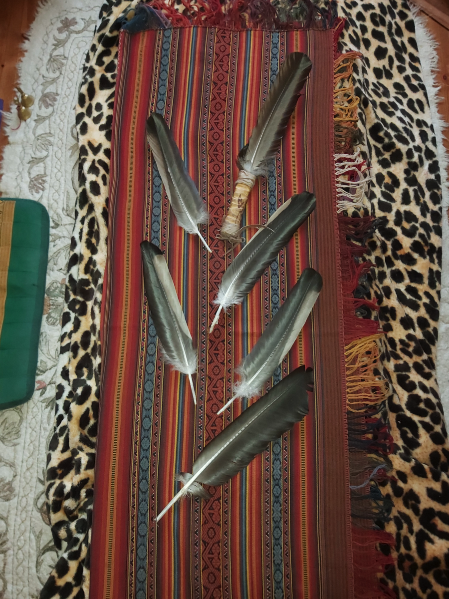 Spirit Flight of the Condor